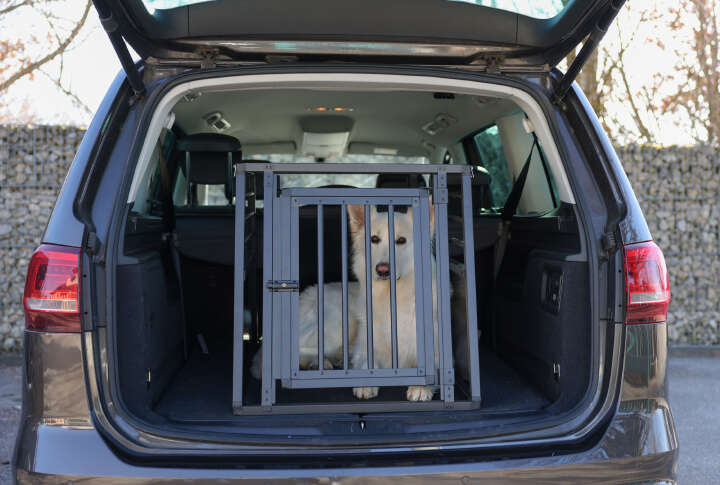 KERBL Alu-Transportbox Vacation für Hunde